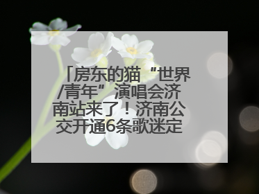 房东的猫“世界/青年”演唱会济南站来了！济南公交开通6条歌迷定制专线