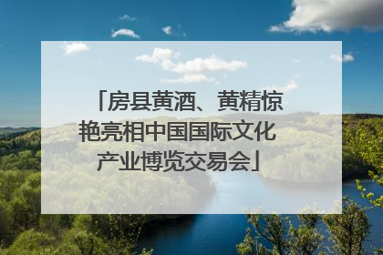 房县黄酒、黄精惊艳亮相中国国际文化产业博览交易会