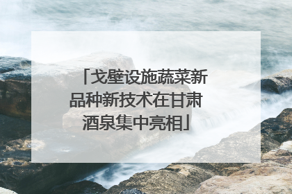 戈壁设施蔬菜新品种新技术在甘肃酒泉集中亮相