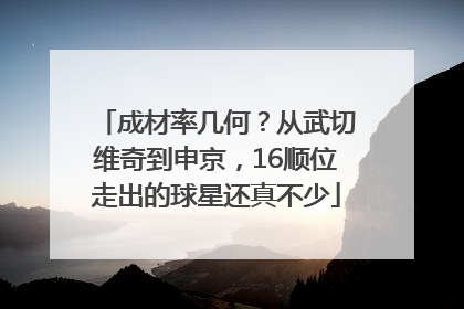成材率几何？从武切维奇到申京，16顺位走出的球星还真不少