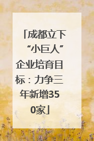 成都立下“小巨人”企业培育目标：力争三年新增350家
