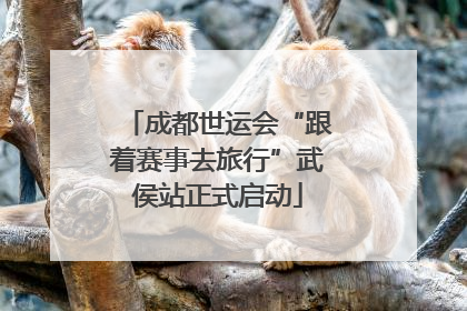 成都世运会“跟着赛事去旅行”武侯站正式启动