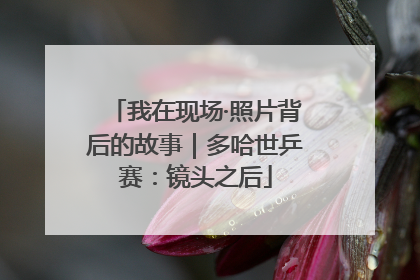 我在现场·照片背后的故事｜多哈世乒赛：镜头之后