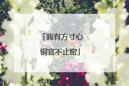 我有方寸心 铜官不止窑
