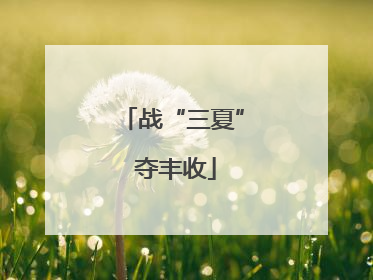 战“三夏” 夺丰收