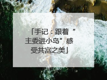 手记：跟着“主委进小岛”感受共富之美