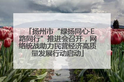 扬州市“绿扬同心·E路同行”推进会召开，网络统战助力民营经济高质量发展行动启动