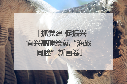 抓党建 促振兴 宜兴高塍绘就“渔旅同塍”新画卷