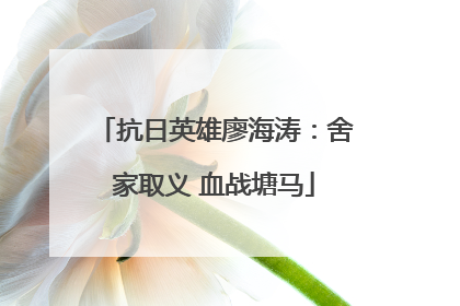 抗日英雄廖海涛：舍家取义 血战塘马