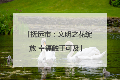 抚远市：文明之花绽放 幸福触手可及
