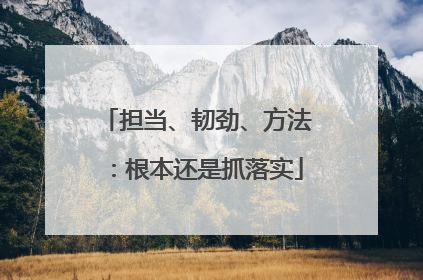 担当、韧劲、方法：根本还是抓落实