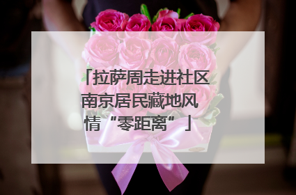 拉萨周走进社区 南京居民藏地风情“零距离”