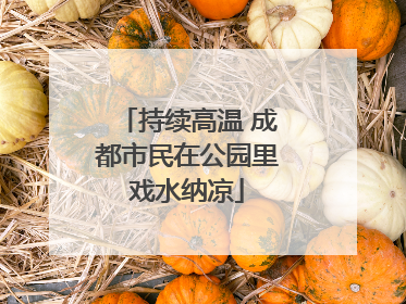 持续高温 成都市民在公园里戏水纳凉