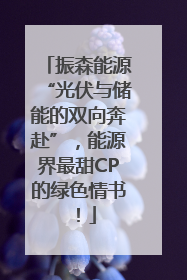 振森能源“光伏与储能的双向奔赴”，能源界最甜CP的绿色情书！