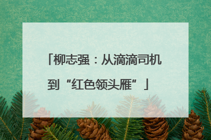 柳志强：从滴滴司机到“红色领头雁”