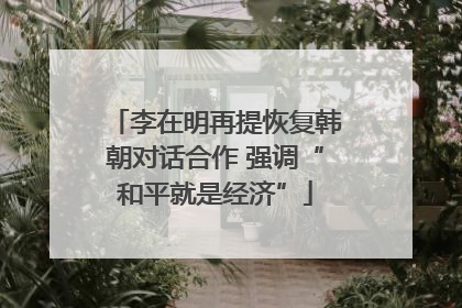 李在明再提恢复韩朝对话合作 强调“和平就是经济”