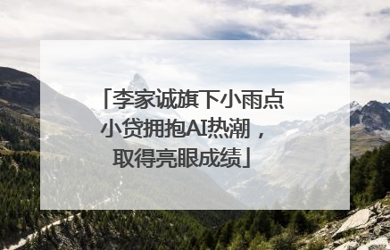 李家诚旗下小雨点小贷拥抱AI热潮，取得亮眼成绩