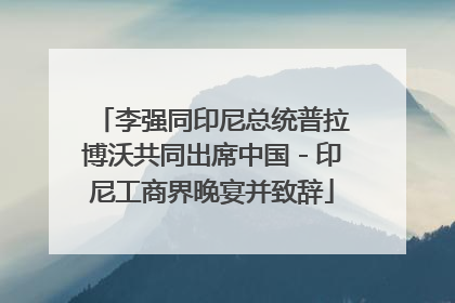 李强同印尼总统普拉博沃共同出席中国－印尼工商界晚宴并致辞