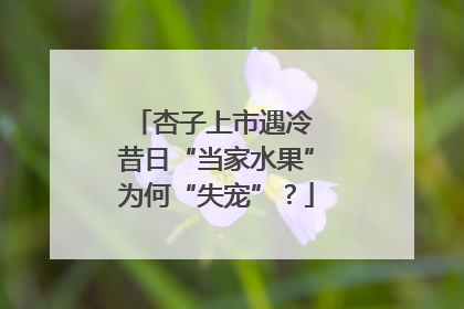 杏子上市遇冷 昔日“当家水果”为何“失宠”？