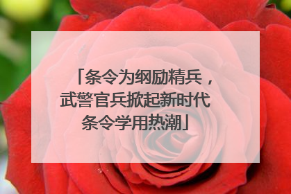 条令为纲励精兵，武警官兵掀起新时代条令学用热潮