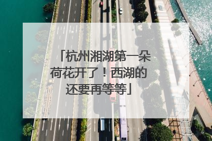 杭州湘湖第一朵荷花开了！西湖的还要再等等