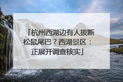 杭州西湖边有人拔断松鼠尾巴？西湖景区：正展开调查核实
