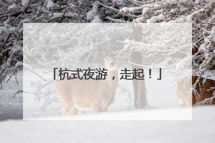 杭式夜游，走起！