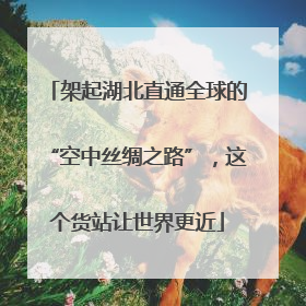 架起湖北直通全球的“空中丝绸之路”，这个货站让世界更近