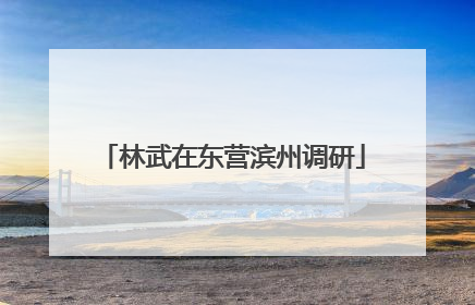 林武在东营滨州调研