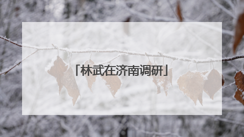 林武在济南调研