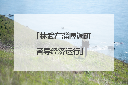 林武在淄博调研督导经济运行