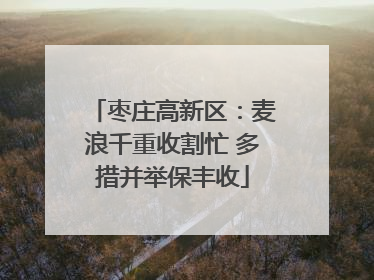 枣庄高新区：麦浪千重收割忙 多措并举保丰收