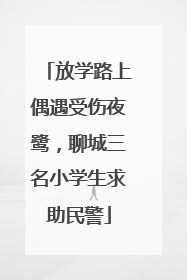 放学路上偶遇受伤夜鹭，聊城三名小学生求助民警