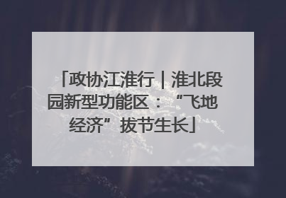 政协江淮行｜淮北段园新型功能区：“飞地经济”拔节生长