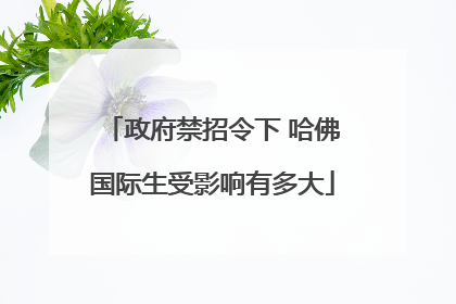 政府禁招令下 哈佛国际生受影响有多大