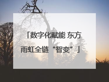 数字化赋能 东方雨虹全链“智变”