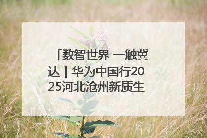 数智世界 一触冀达｜华为中国行2025河北沧州新质生产力峰会成功举办