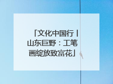 文化中国行丨山东巨野：工笔画绽放致富花