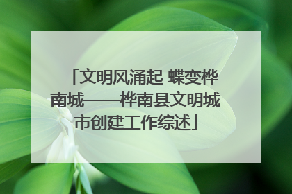 文明风涌起 蝶变桦南城——桦南县文明城市创建工作综述
