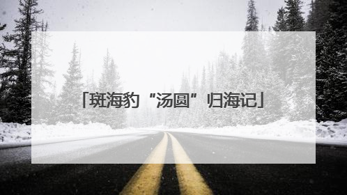 斑海豹“汤圆”归海记