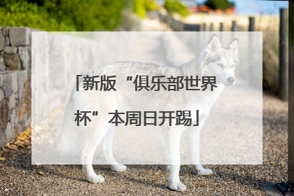 新版“俱乐部世界杯”本周日开踢