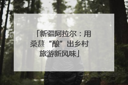 新疆阿拉尔：用桑葚“酿”出乡村旅游新风味