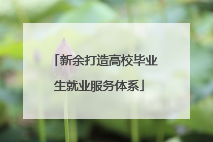 新余打造高校毕业生就业服务体系