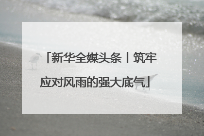 新华全媒头条丨筑牢应对风雨的强大底气