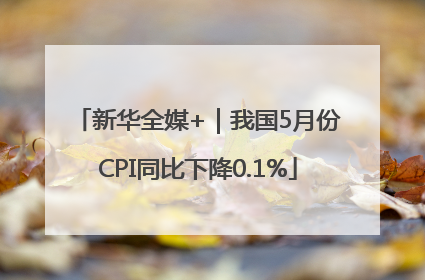 新华全媒+｜我国5月份CPI同比下降0.1%
