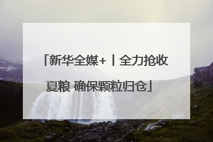 新华全媒+丨全力抢收夏粮 确保颗粒归仓