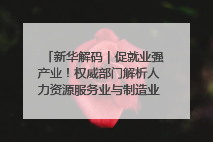 新华解码｜促就业强产业！权威部门解析人力资源服务业与制造业融合发展试点