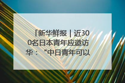 新华鲜报｜近300名日本青年应邀访华：“中日青年可以创造更好的未来”