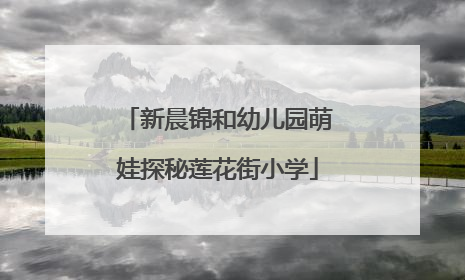 新晨锦和幼儿园萌娃探秘莲花街小学