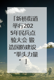 新桥街道举行2025年民兵点验大会 锻造国防建设“拳头力量”